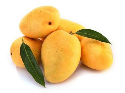 Fresh Indian Kesar Mango - Onlinemeatshop.com