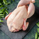 Halal Turkey