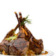 Marinated Lamb