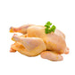 Fresh Halal Corn Fed Chicken 1.4kg - Onlinemeatshop.com