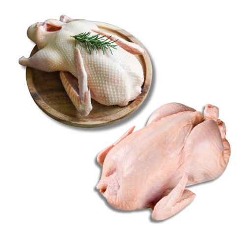 Fresh Halal British Chicken & Duck, Box - Onlinemeatshop.com