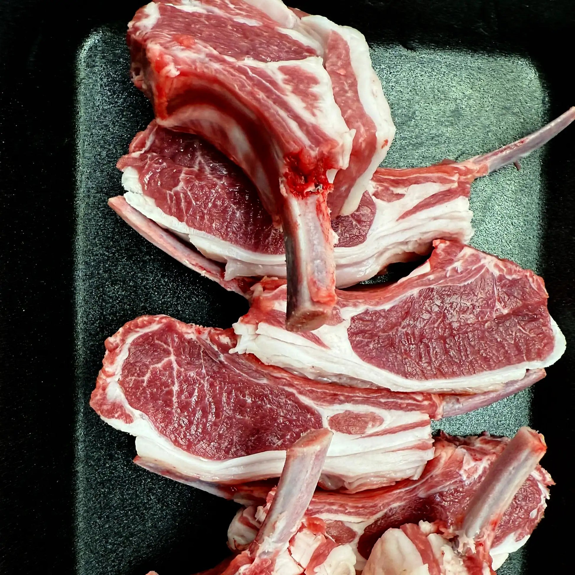 Fresh Halal British Baby Lamb Front Chop - Lamb Best - End - Onlinemeatshop.com