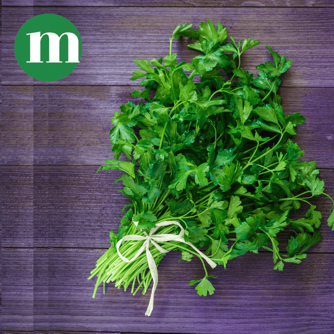 Fresh Coriander Bunch