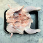Fresh British Halal Chicken (850g-950g) - Red Tractor