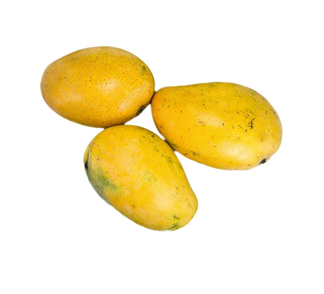 Fresh Indian Alphonso Mango Jumbo 12 pieces