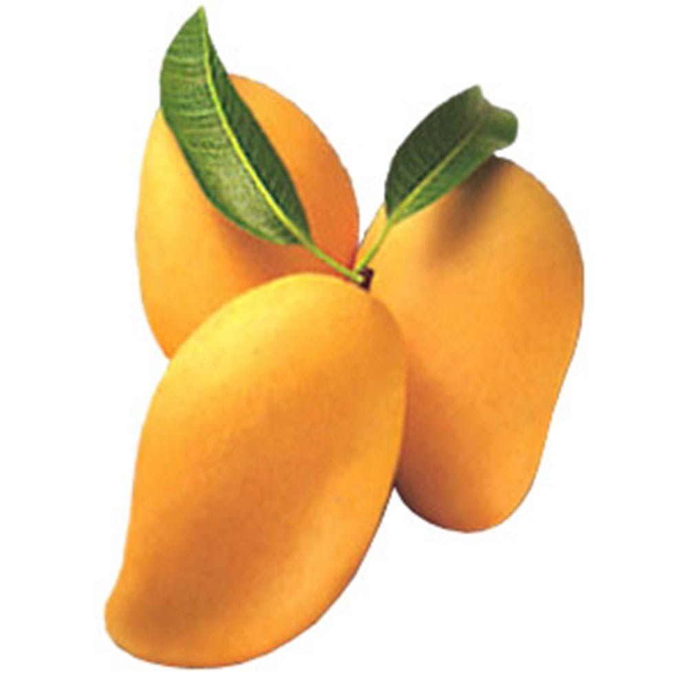 Fresh Indian Alphonso Mango - Onlinemeatshop.com