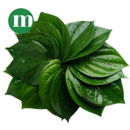 Fresh Betel Leaf 100g