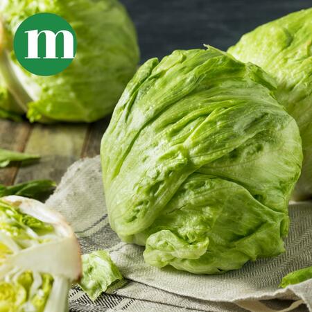 Fresh Ice Berg Lettuce - Approx 300G - 500G